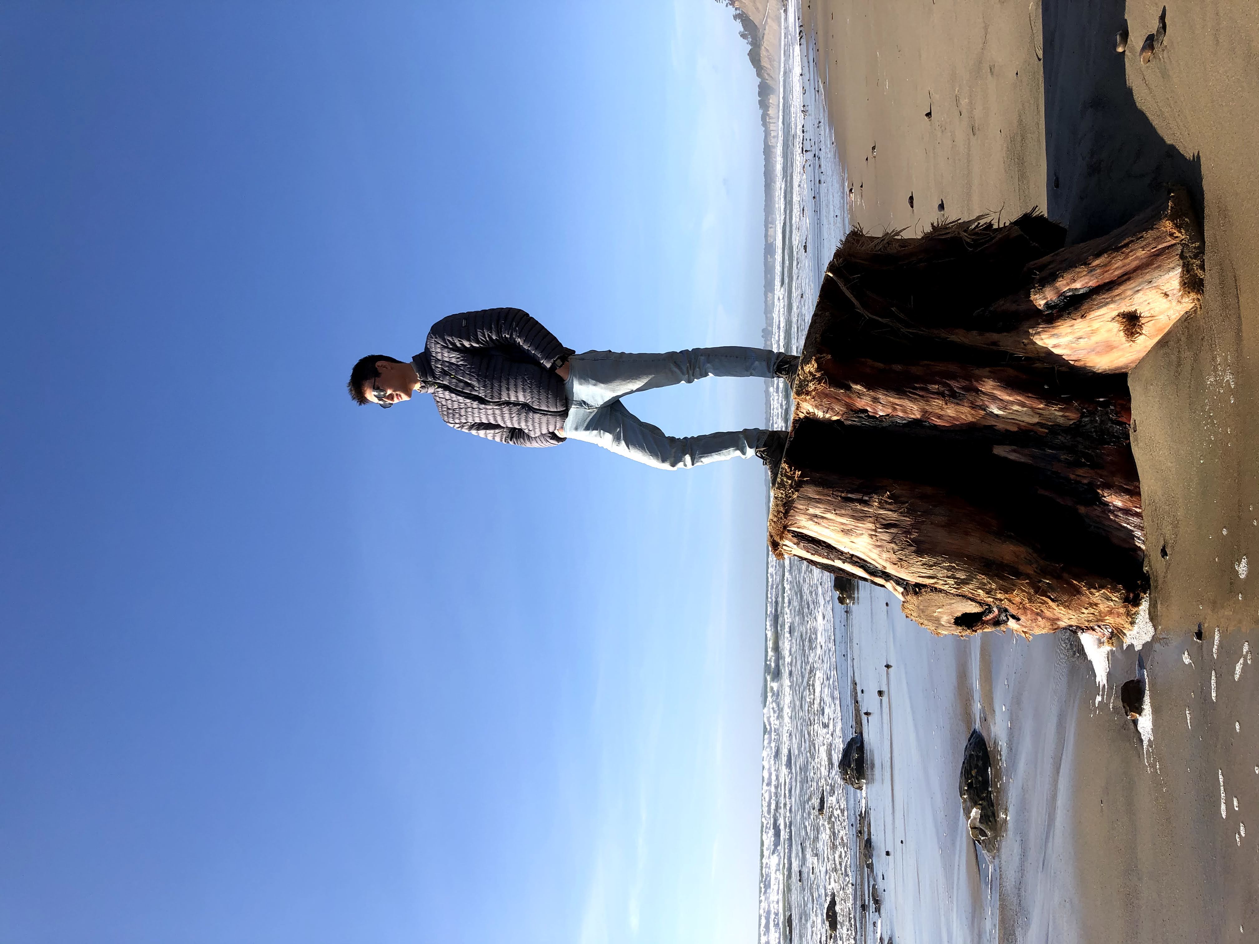Picture of me at the beach, on a tree.